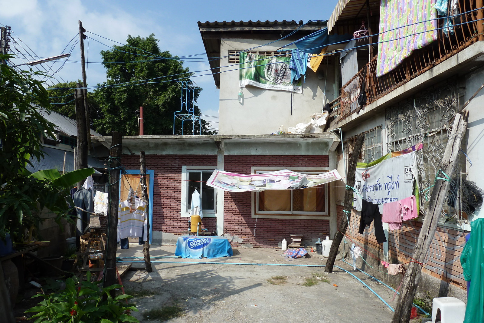 照片 泰国(Thailand) 清迈(Chiang Mai) 2010-12 54