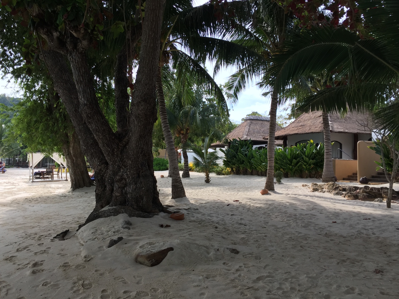 照片 泰国(Thailand) 沙美岛(Ko Samet) 2014-12 67