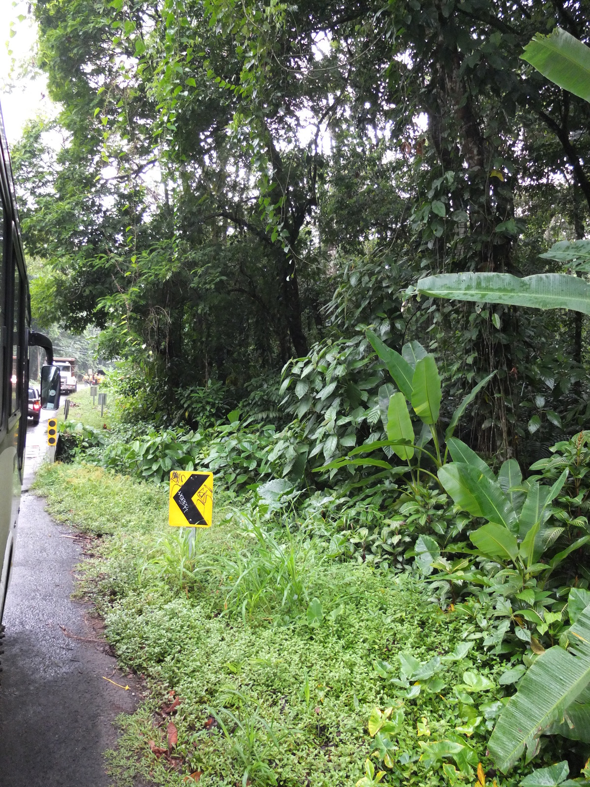照片 哥斯达黎加(Costa Rica) 塔拉曼卡旧港(Puerto Viejo de Talamanca) 2015-03 35