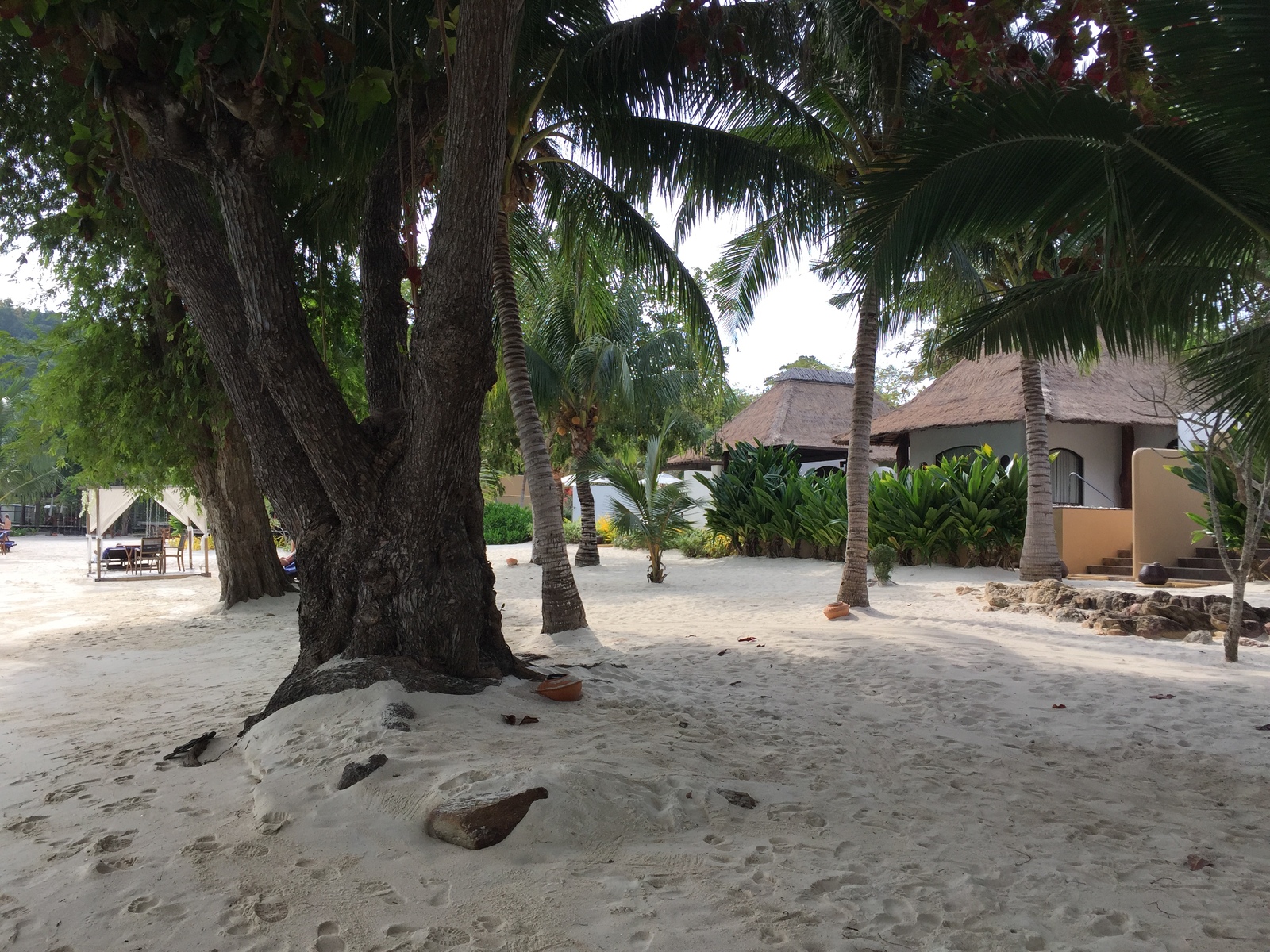 照片 泰国(Thailand) 沙美岛(Ko Samet) 2014-12 77