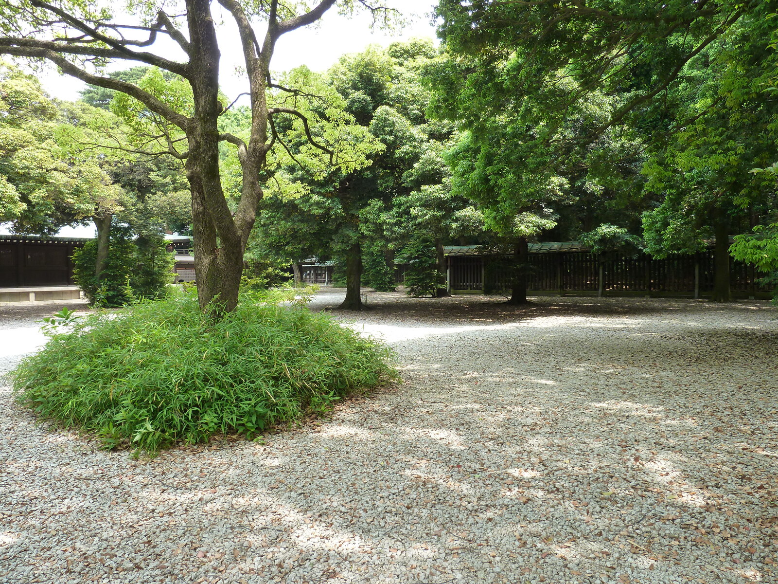 照片 日本(Japan) 东京(Tokyo) 代代木公园(Yoyogi Park) 2010-06 37