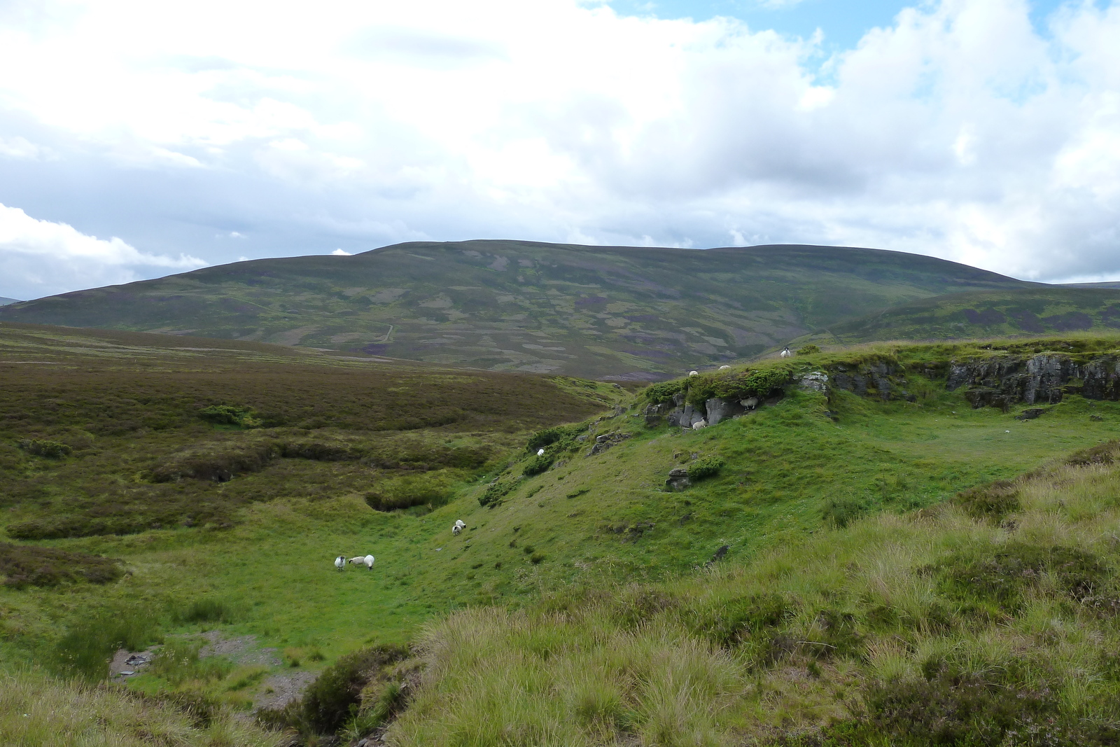 照片 英国(United Kingdom) 凯恩戈姆山国家公园(Cairngorms National Park) 2011-07 141