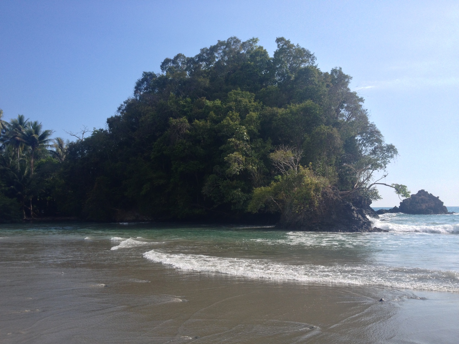 照片 哥斯达黎加(Costa Rica) 曼努埃尔安东尼奥(Manuel Antonio) 2015-03 255