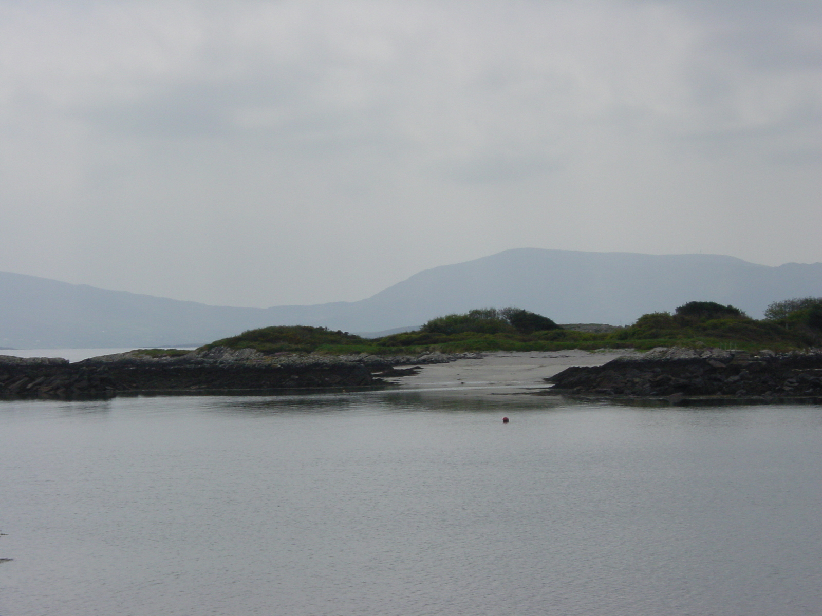 照片 爱尔兰(Ireland) 凯里郡(Kerry) 帕克纳西拉(Parknasilla) 2004-05 18
