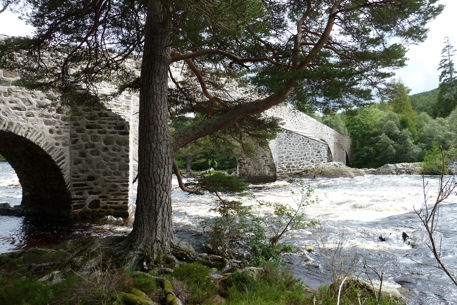 照片 英国(United Kingdom) 苏格兰(Scotland) 凯恩戈姆山国家公园(Cairngorms National Park) 因弗考尔德桥(Invercauld Bridge) 2011-07 12