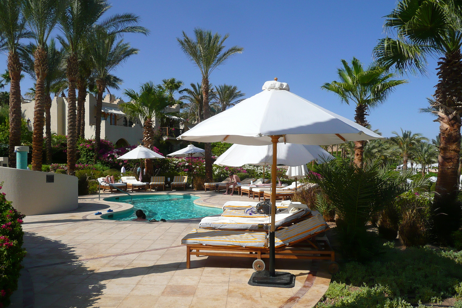 照片 埃及(Egypt) 沙姆沙伊赫(Sharm el Sheikh) 四季酒店(Four Seasons Hotel) 四季酒店绿洲泳池(Four Seasons Al Waha Pool) 2008-06 26