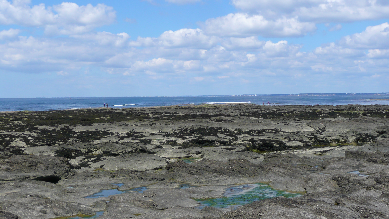 照片 法国(France) 普雷法耶(Prefailles) 圣吉尔达角至拉普雷(La pointe Saint Gildas to La Pree) 2007-08 76