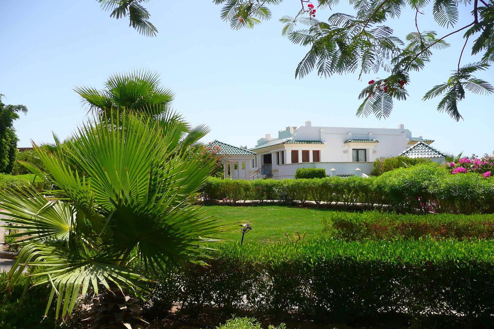 照片 埃及(Egypt) 沙姆沙伊赫(Sharm el Sheikh) 凯悦酒店(Hyatt Hotel) 2008-06 135