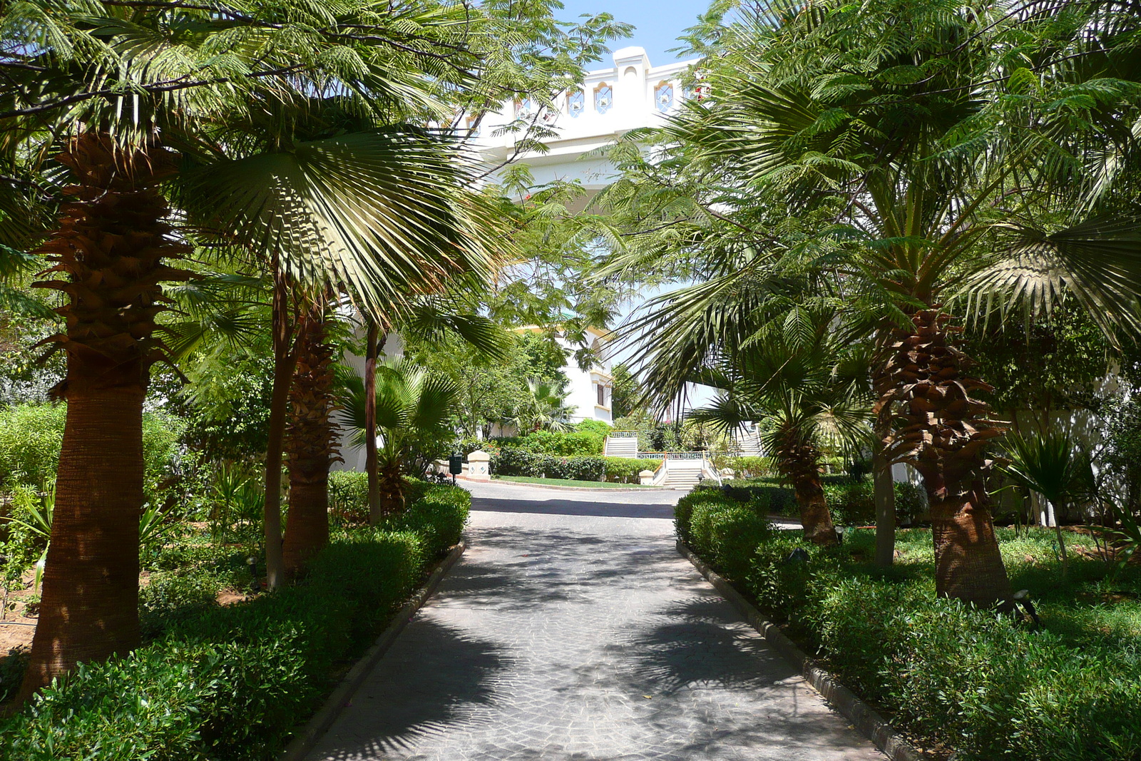 照片 埃及(Egypt) 沙姆沙伊赫(Sharm el Sheikh) 凯悦酒店(Hyatt Hotel) 2008-06 127