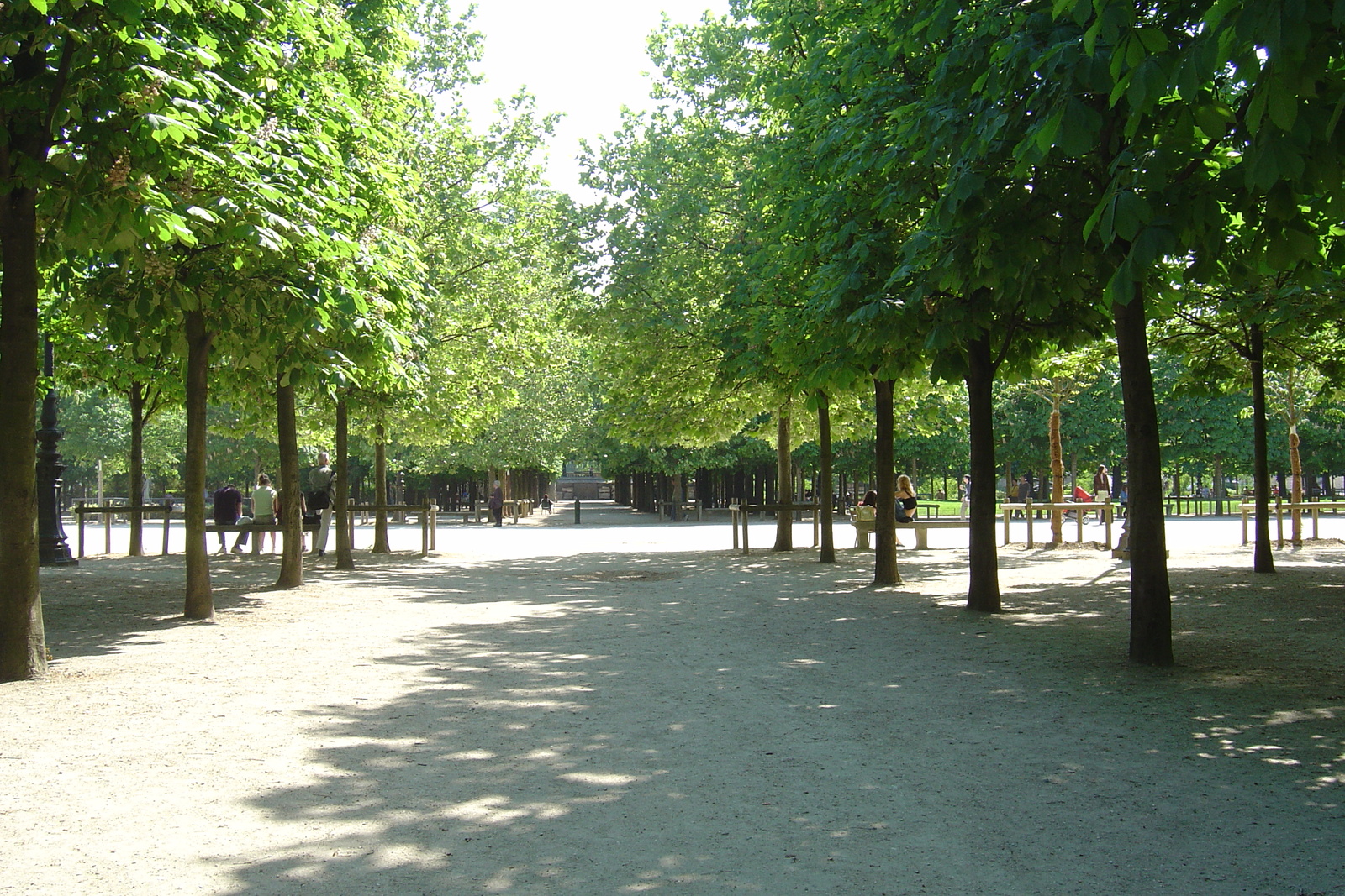 照片 法国(France) 巴黎(Paris) 杜乐丽花园(Garden of Tuileries) 2007-05 47