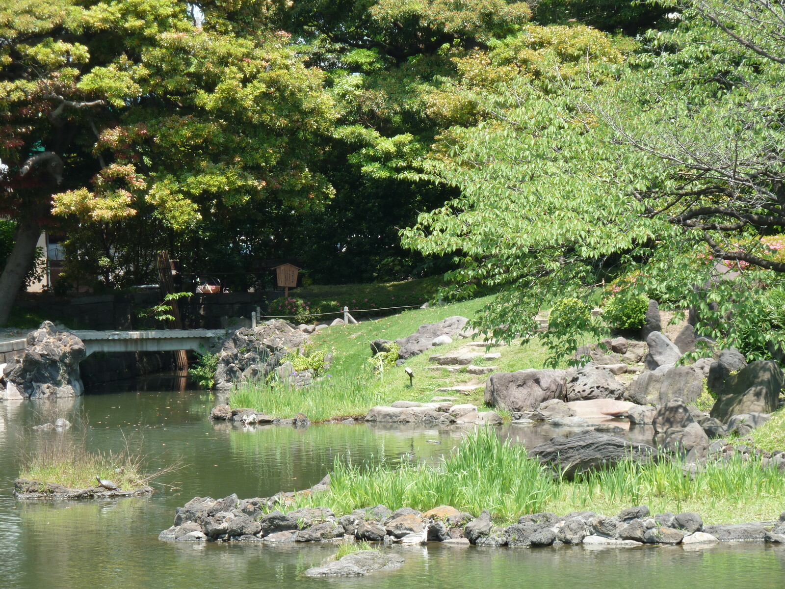 照片 日本(Japan) 东京(Tokyo) 旧芝离宫恩赐庭园(Kyu Shiba rikyu Gardens) 2010-06 50