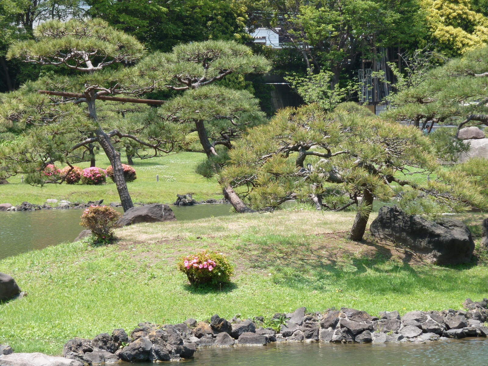 照片 日本(Japan) 东京(Tokyo) 旧芝离宫恩赐庭园(Kyu Shiba rikyu Gardens) 2010-06 4
