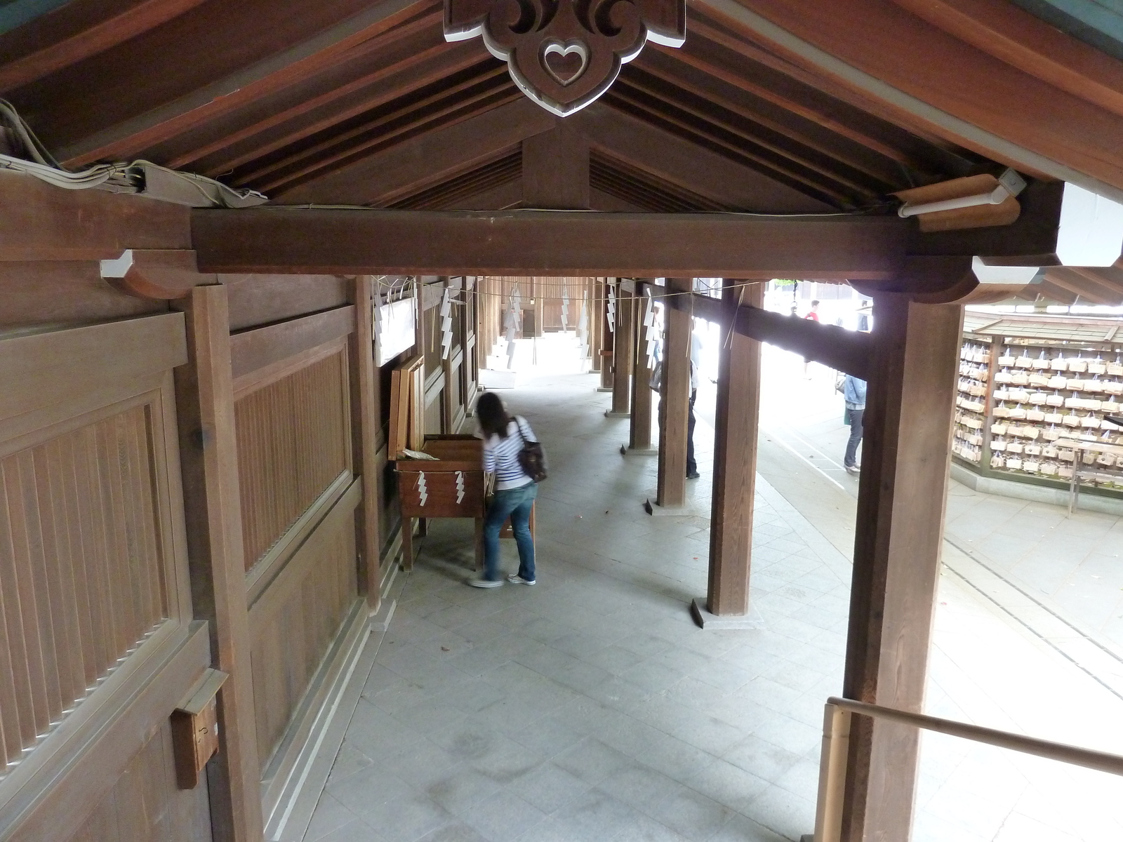 照片 日本(Japan) 东京(Tokyo) 代代木公园(Yoyogi Park) 2010-06 23