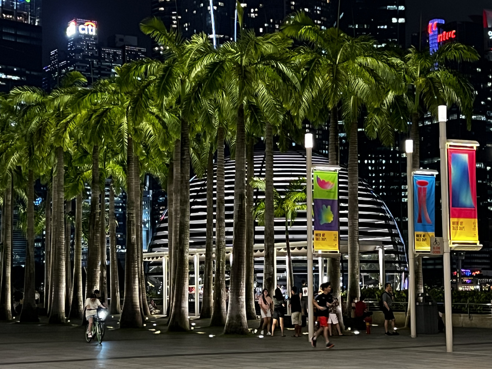 照片 新加坡(Singapore) 滨海湾金沙(Marina Bay Sands) 2023-01 29