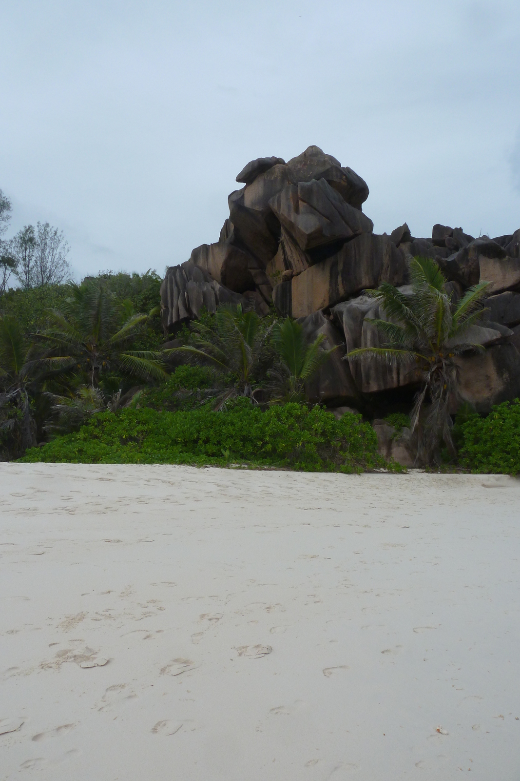 照片 塞舌尔(Seychelles) 拉迪格岛(La Digue) 2011-10 132