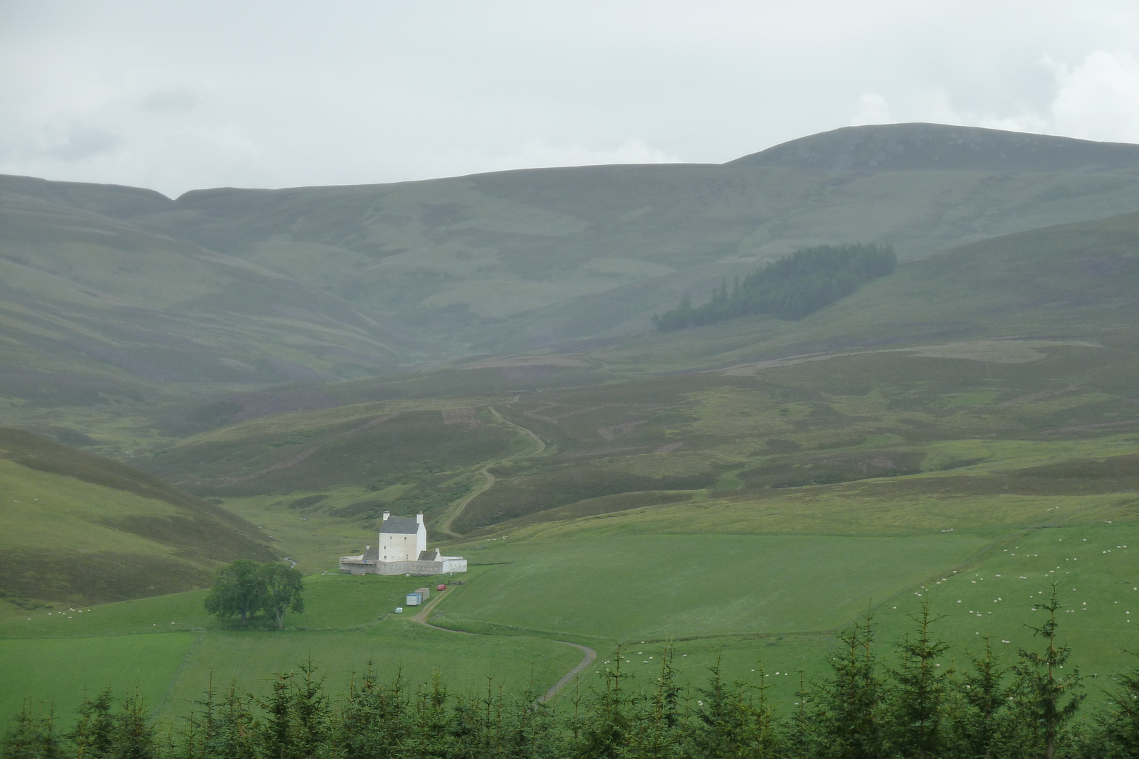 照片 英国(United Kingdom) 凯恩戈姆山国家公园(Cairngorms National Park) 2011-07 117