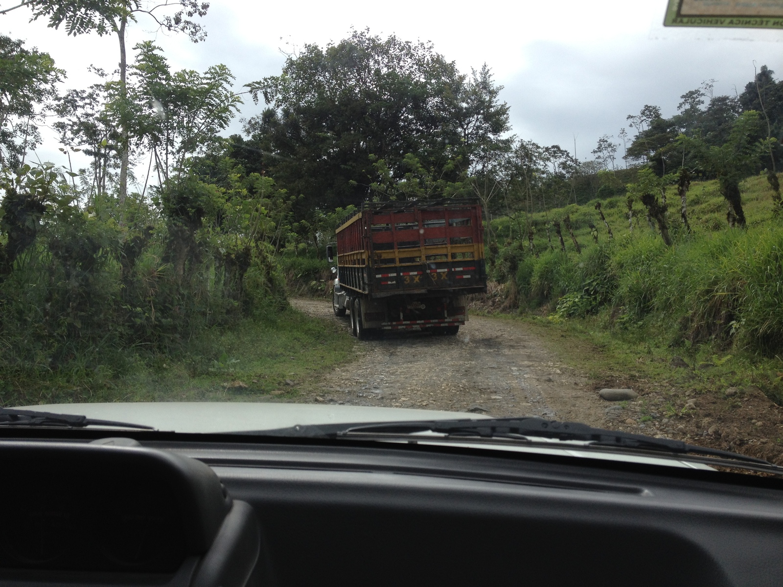 照片 哥斯达黎加(Costa Rica) 帕夸雷河(Pacuare River) 2015-03 107