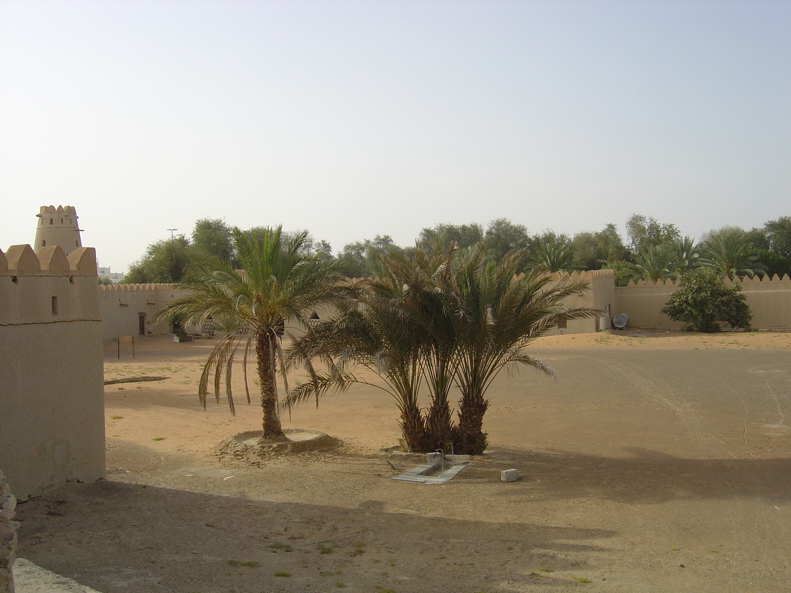 照片 阿联酋(United Arab Emirates) 艾因(Al Ain) 贾希利堡(Jahli Fort) 2005-03 27