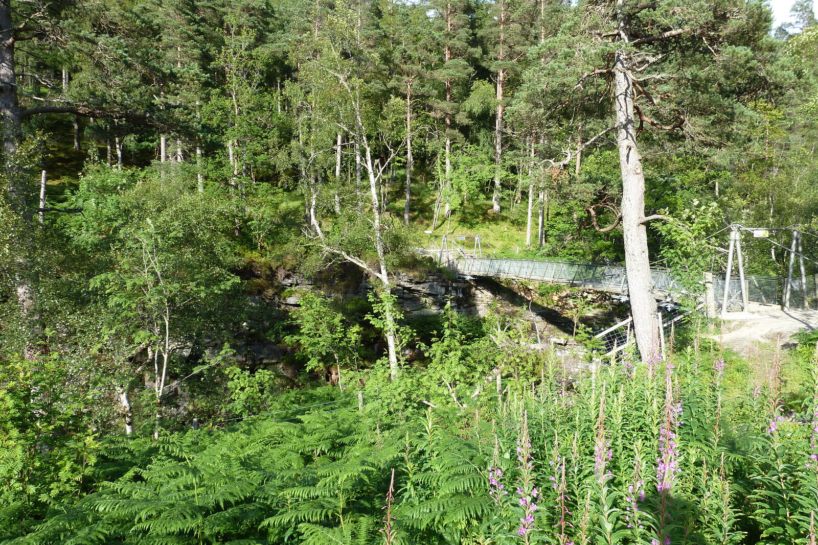 照片 英国(United Kingdom) 韦斯特罗斯(Wester Ross) 2011-07 179