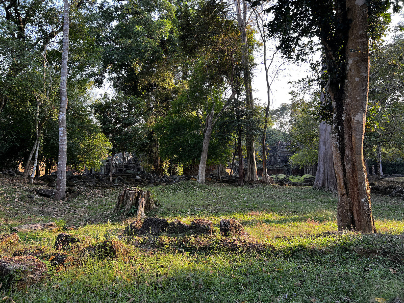 照片 柬埔寨(Cambodia) 暹粒(Siem Reap) 圣剑寺(Preah Khan) 2023-01 71