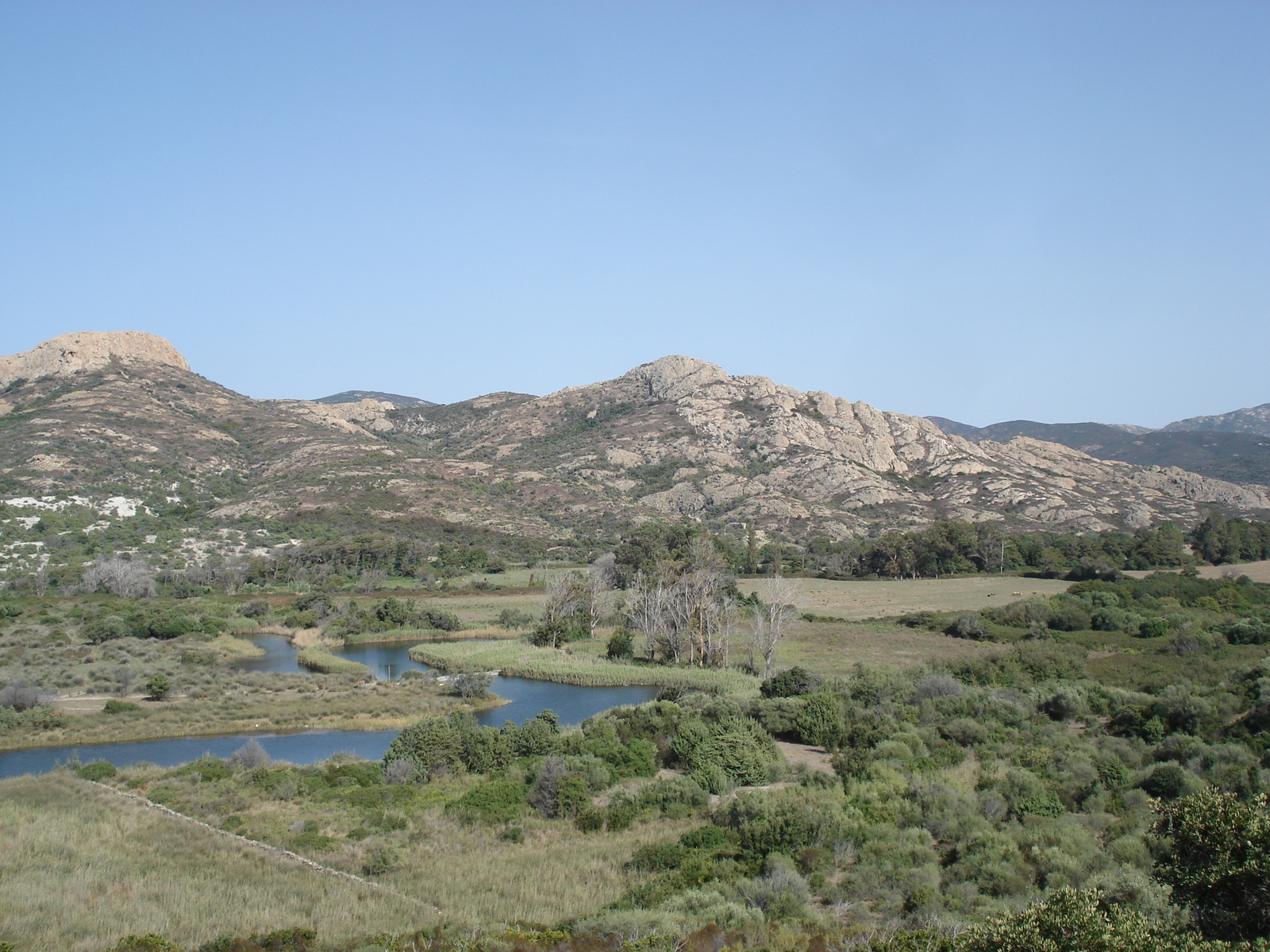 照片 法国(France) 科西嘉岛(Corsica) 阿格里亚特荒漠(Agriates Desert) 2006-09 2