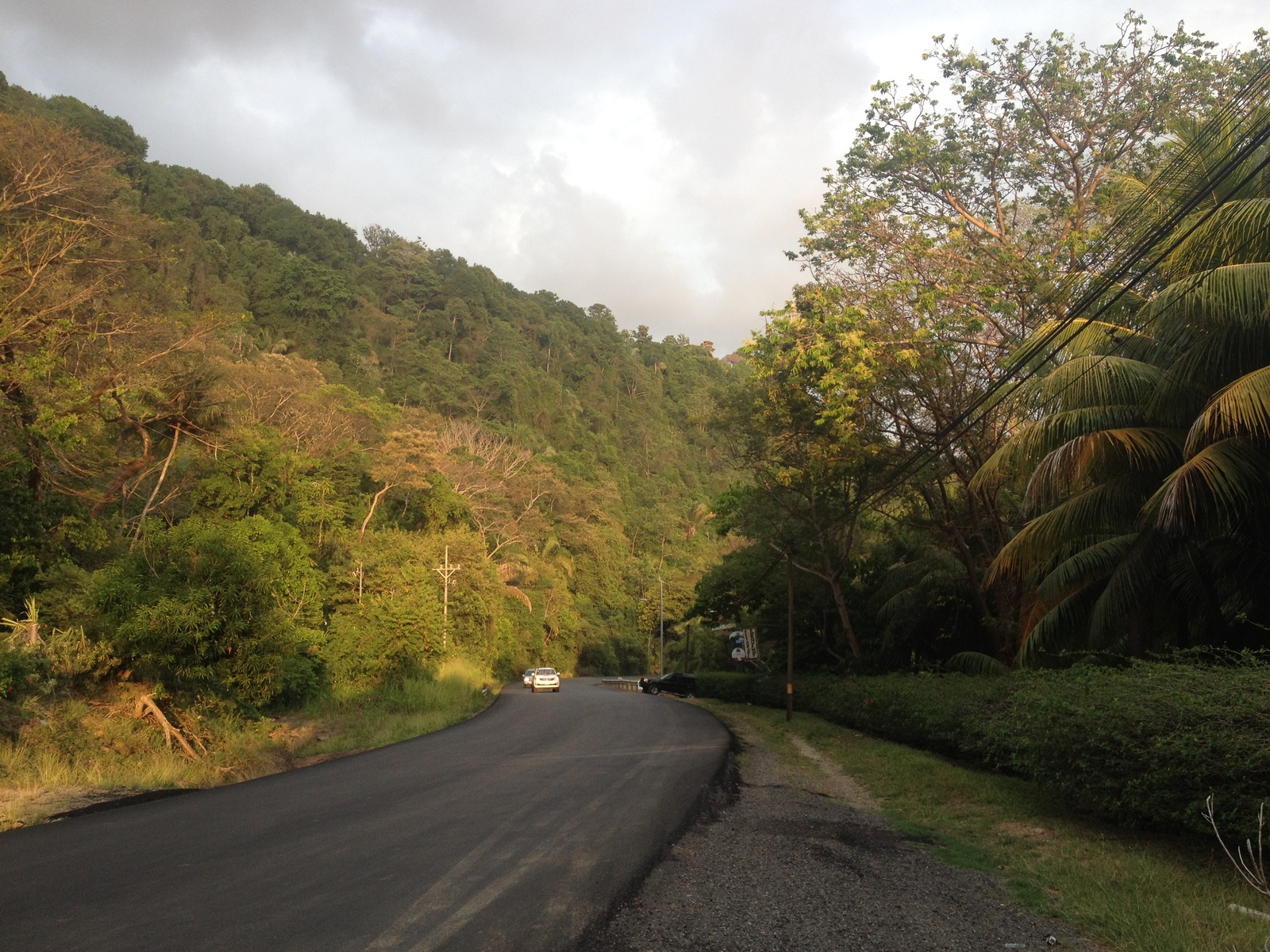 照片 哥斯达黎加(Costa Rica) 多米尼卡尔(Dominical) 2015-03 147