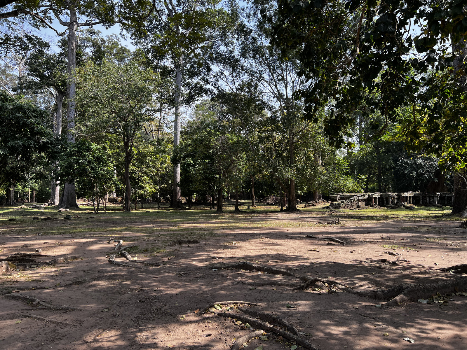 照片 柬埔寨(Cambodia) 暹粒(Siem Reap) 吴哥通王城(Angkor Thom) 2023-01 2