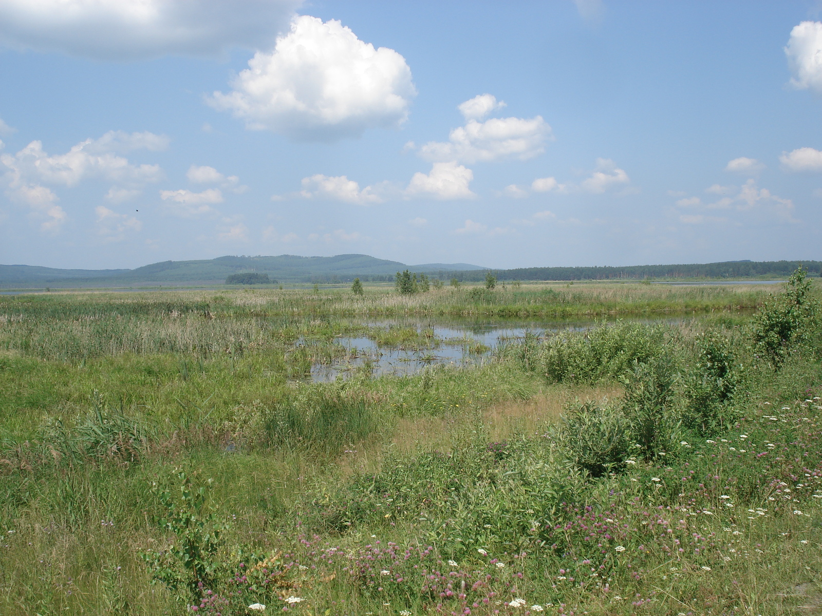 照片 俄罗斯(Russia) 乌拉尔(Ural) 2006-07 182