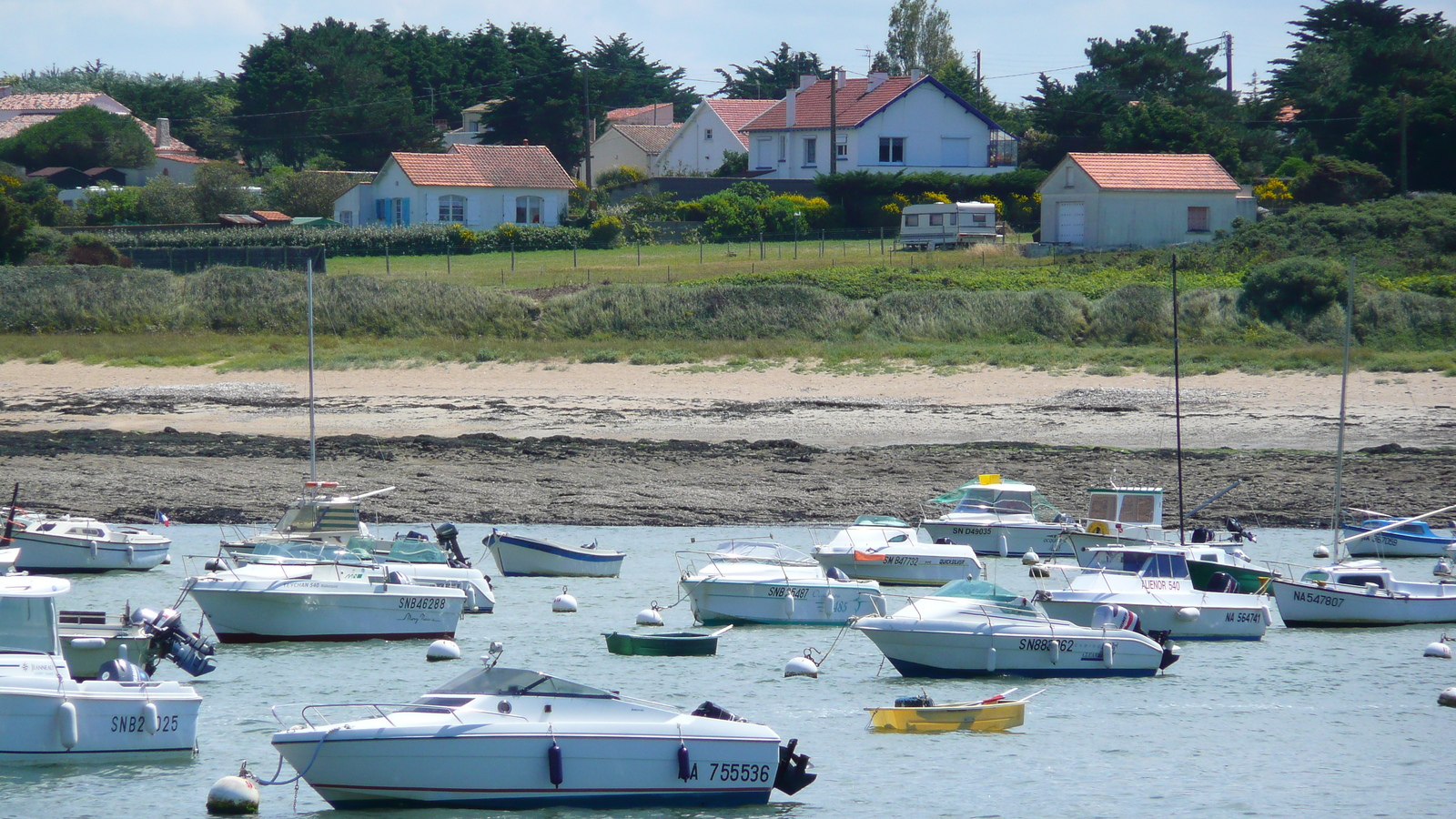 照片 法国(France) 普雷法耶(Prefailles) 圣吉尔达角(La pointe Saint Gildas) 2007-08 22