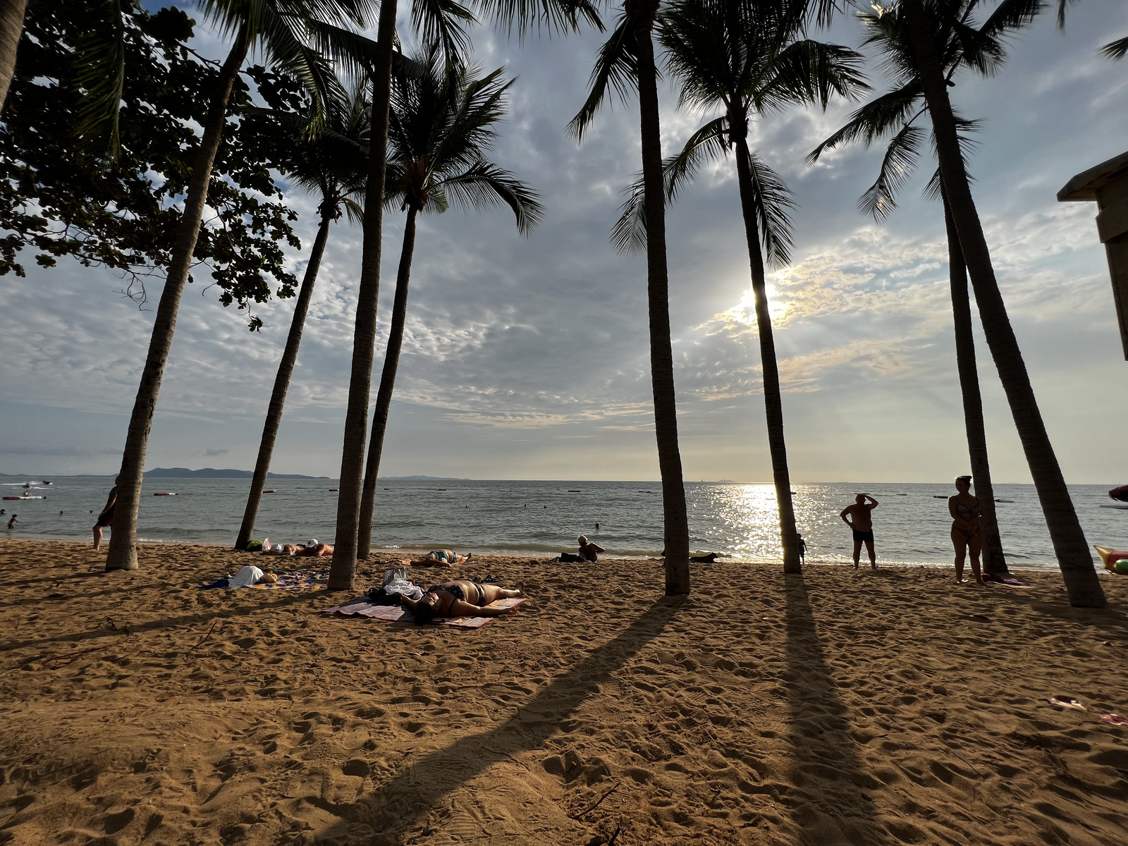 照片 泰国(Thailand) 芭提雅(Pattaya) 2023-01 6