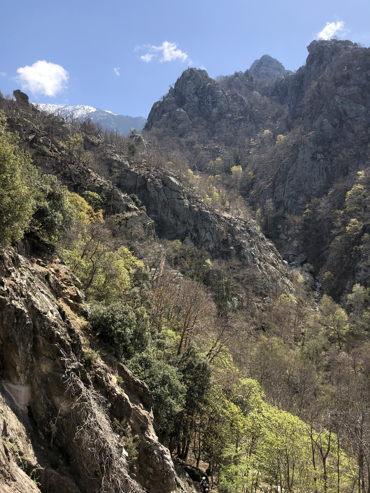 照片 法国(France) 卡尼古圣马丁修道院(Abbaye Saint Martin du Canigou) 2018-04 16