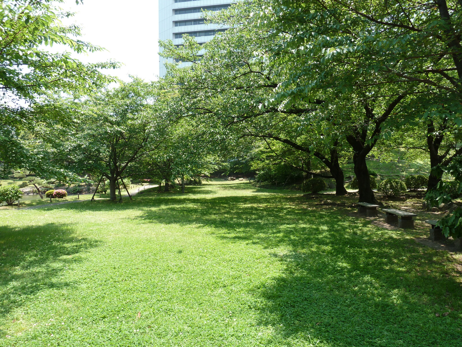 照片 日本(Japan) 东京(Tokyo) 旧芝离宫恩赐庭园(Kyu Shiba rikyu Gardens) 2010-06 43