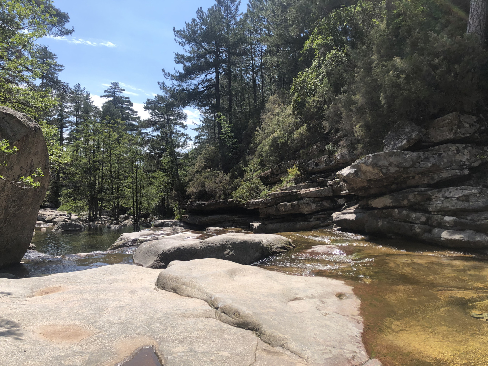 照片 法国(France) 科西嘉岛(Corsica) 艾托内森林(Aitone Forest) 2021-06 57