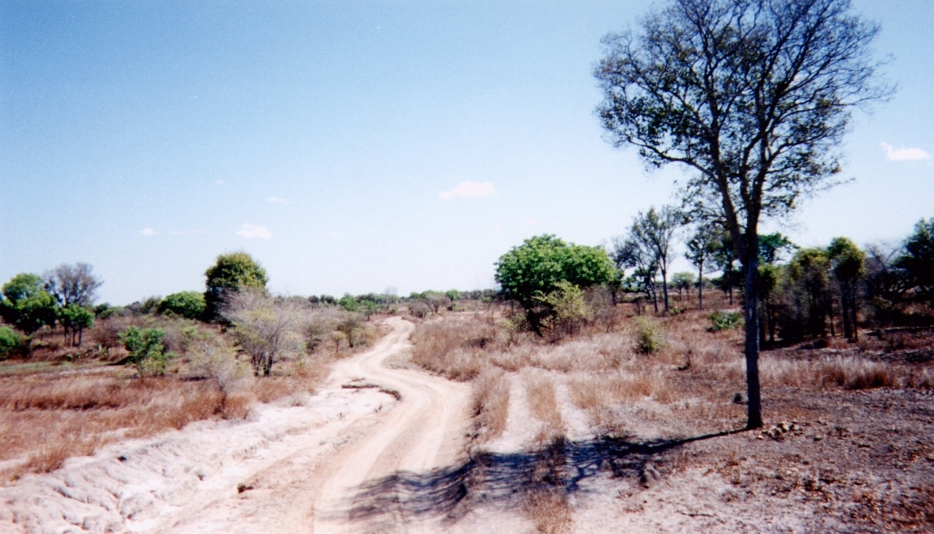照片 马达加斯加(Madagascar) 1999-10 2