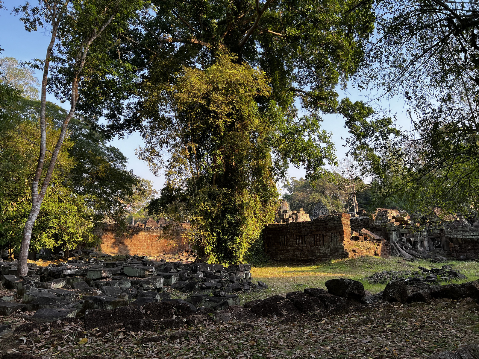 照片 柬埔寨(Cambodia) 暹粒(Siem Reap) 圣剑寺(Preah Khan) 2023-01 66