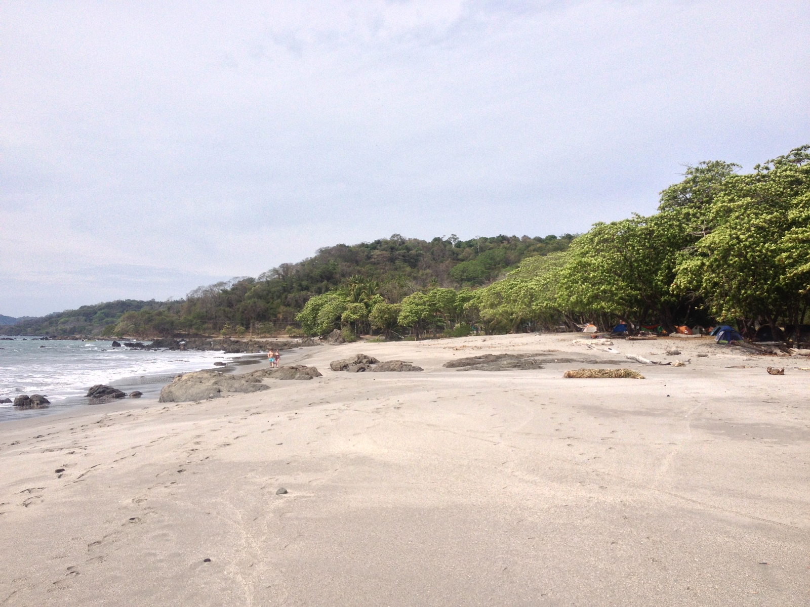照片 哥斯达黎加(Costa Rica) 蒙特苏马(Montezuma) 2015-03 485
