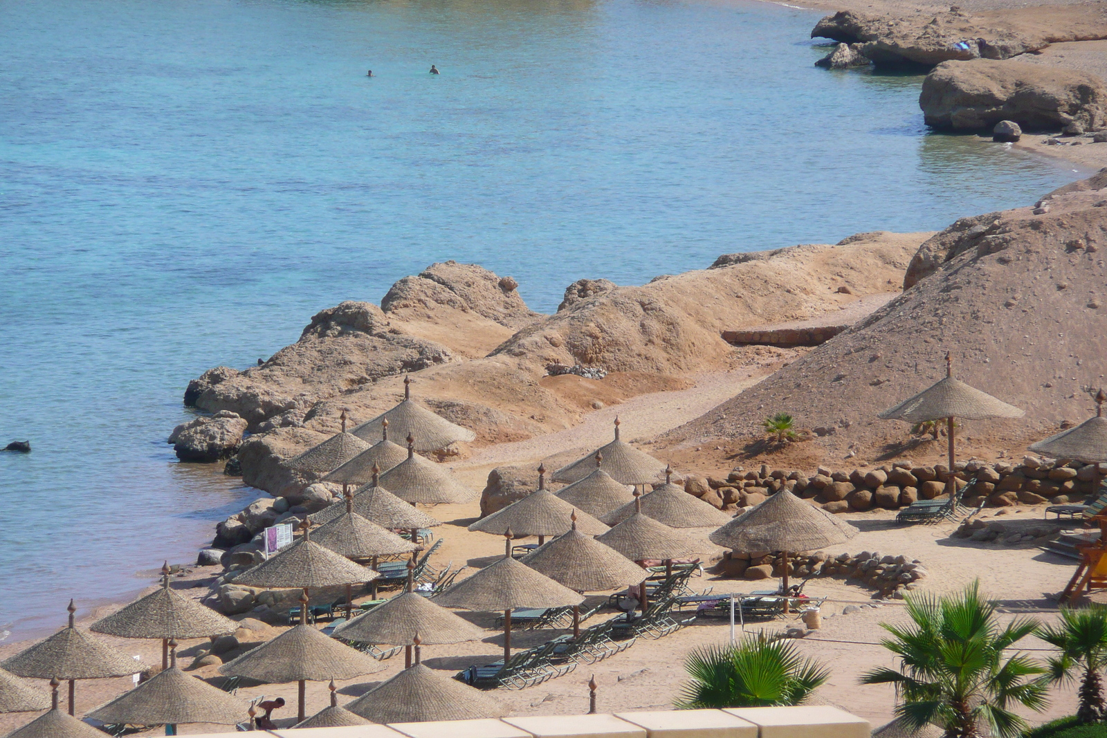 照片 埃及(Egypt) 沙姆沙伊赫(Sharm el Sheikh) 凯悦酒店(Hyatt Hotel) 沙姆沙伊赫凯悦海滩(Hyatt Sharm el Sheikh Beach) 2008-06 49
