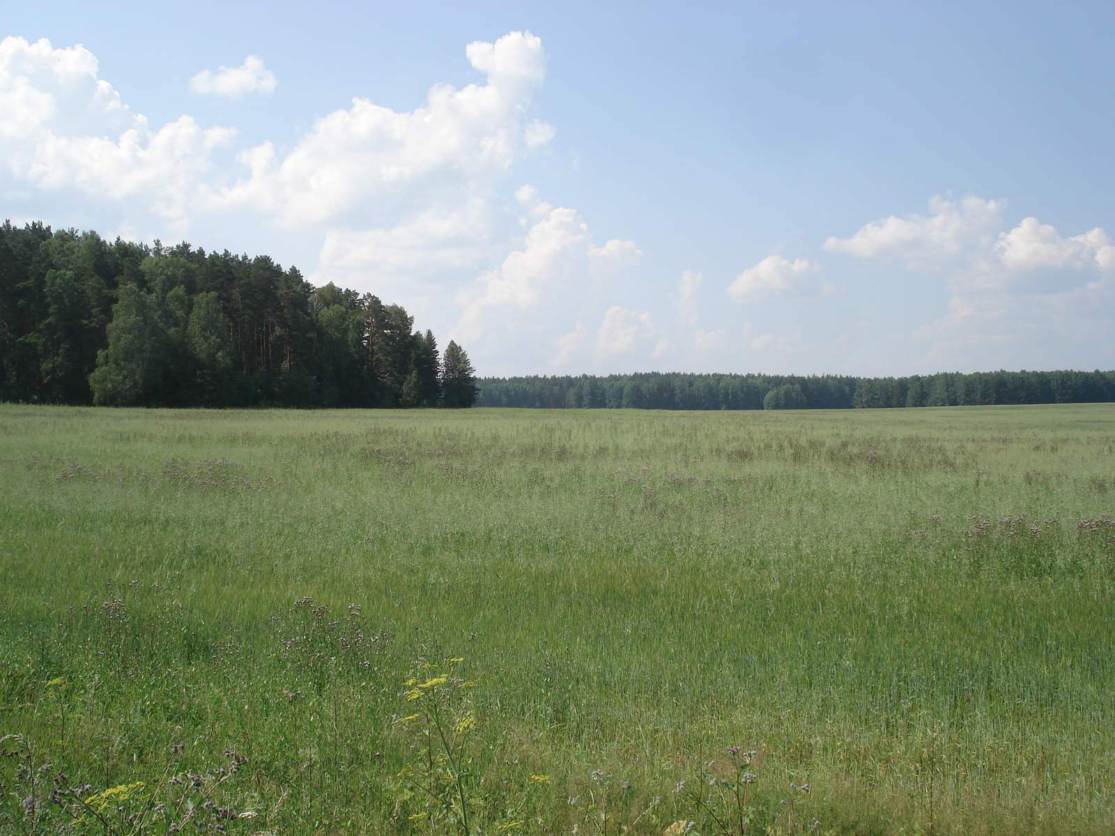 照片 俄罗斯(Russia) 乌拉尔(Ural) 2006-07 74