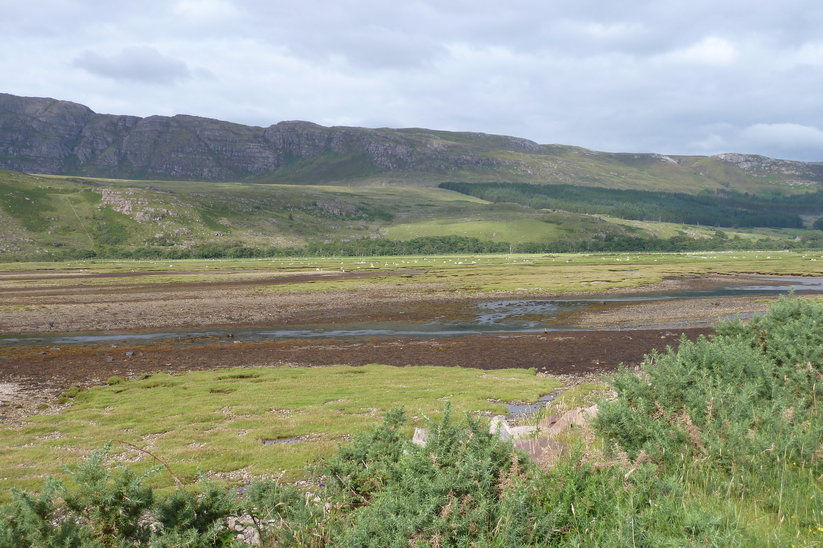 照片 英国(United Kingdom) 韦斯特罗斯(Wester Ross) 2011-07 69