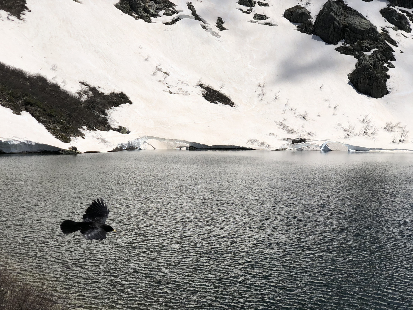 照片 法国(France) 科西嘉岛(Corsica) 梅洛湖和卡皮泰洛湖(Lac de Melo et Capitello) 2021-06 103