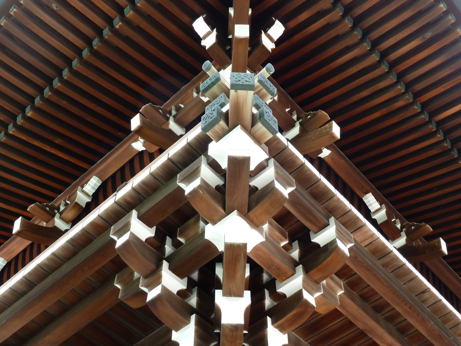 照片 日本(Japan) 东京(Tokyo) 代代木公园(Yoyogi Park) 2010-06 36