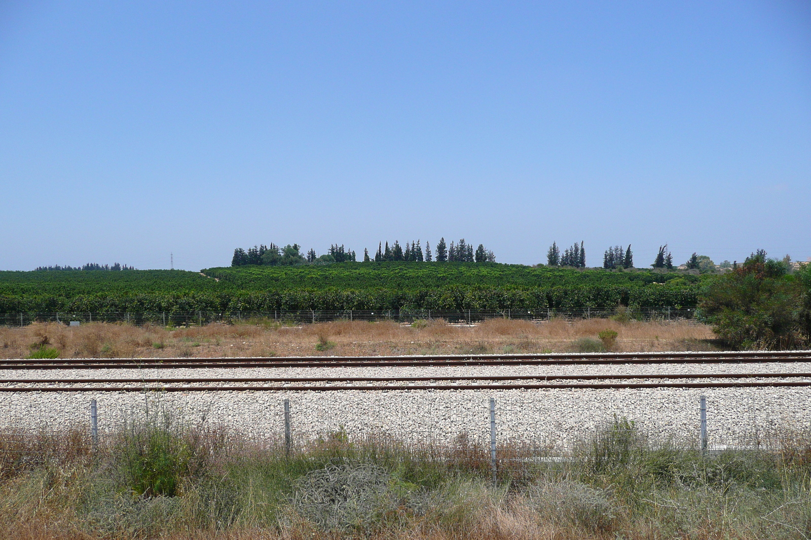 照片 以色列(Israel) 尼灿(Nitzan) 2007-06 112