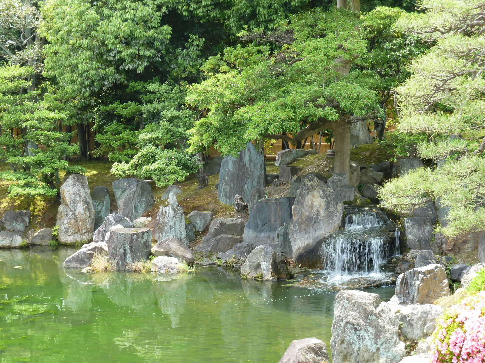 照片 日本(Japan) 京都(Kyoto) 二条城(Nijo Castle) 二之丸庭园(Ninomaru Garden) 2010-06 17