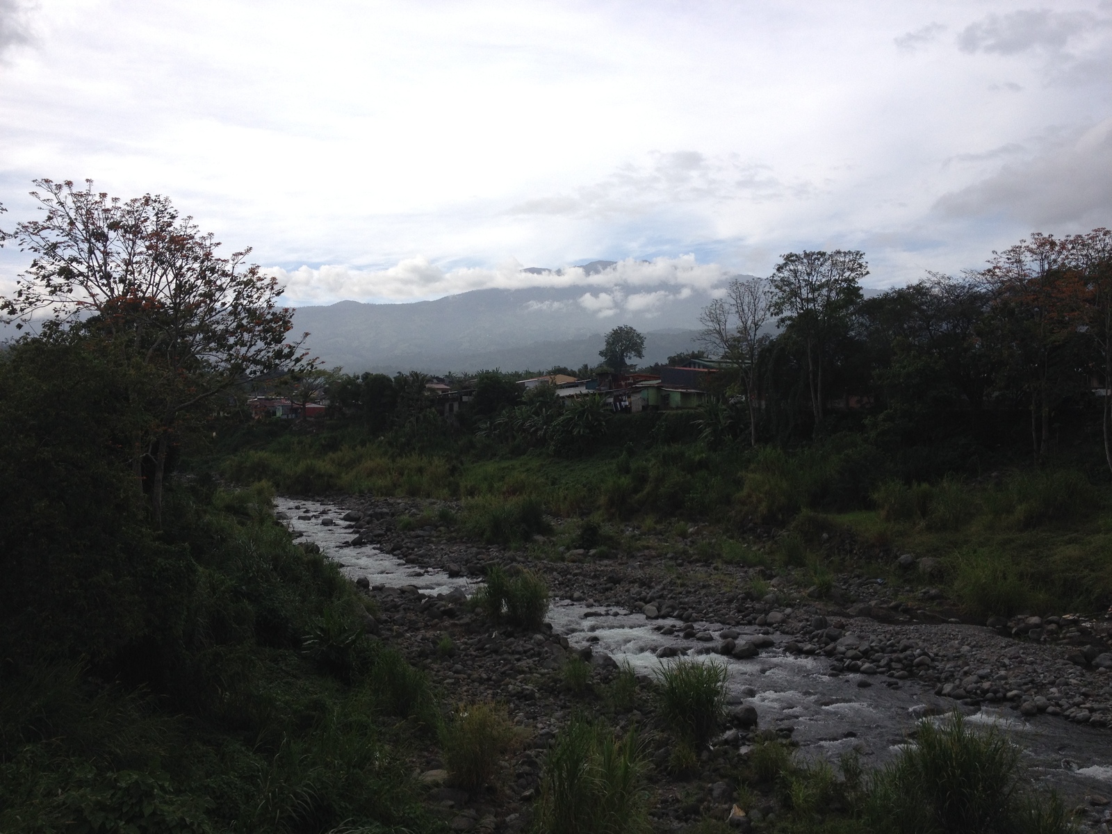 照片 哥斯达黎加(Costa Rica) 图里亚尔瓦(Turrialba) 2015-03 71