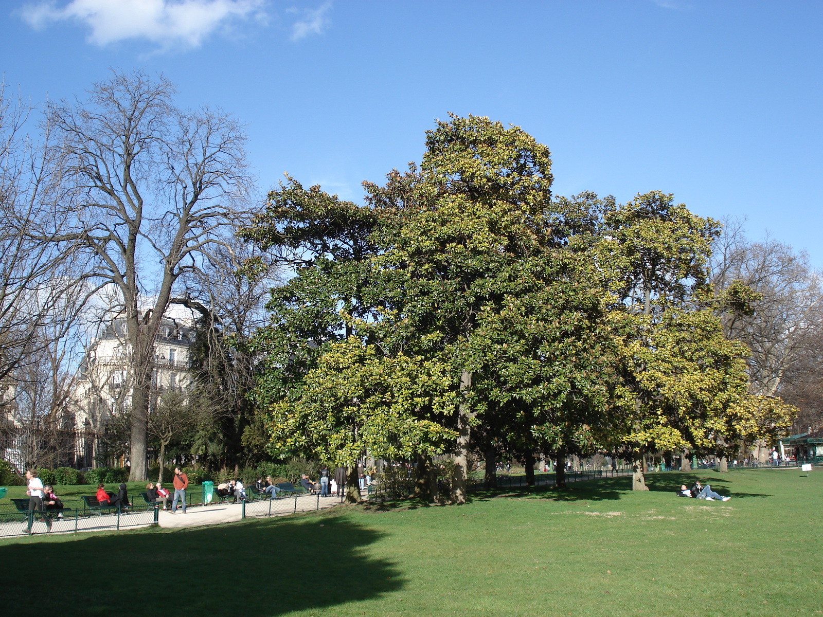 照片 法国(France) 巴黎(Paris) 蒙索公园(Monceau Garden) 2006-03 38