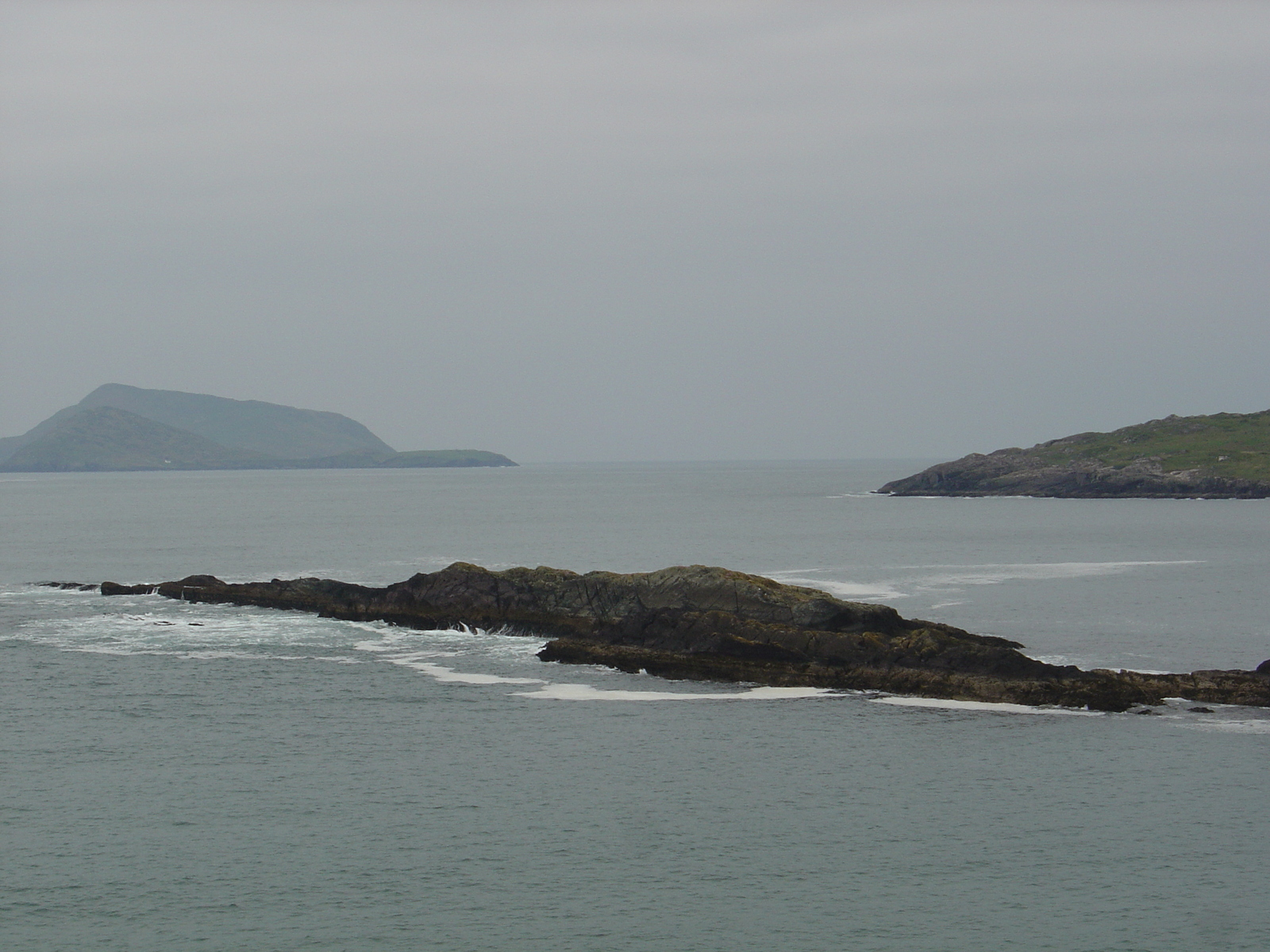 照片 爱尔兰(Ireland) 凯里郡(Kerry) 帕克纳西拉(Parknasilla) 2004-05 56