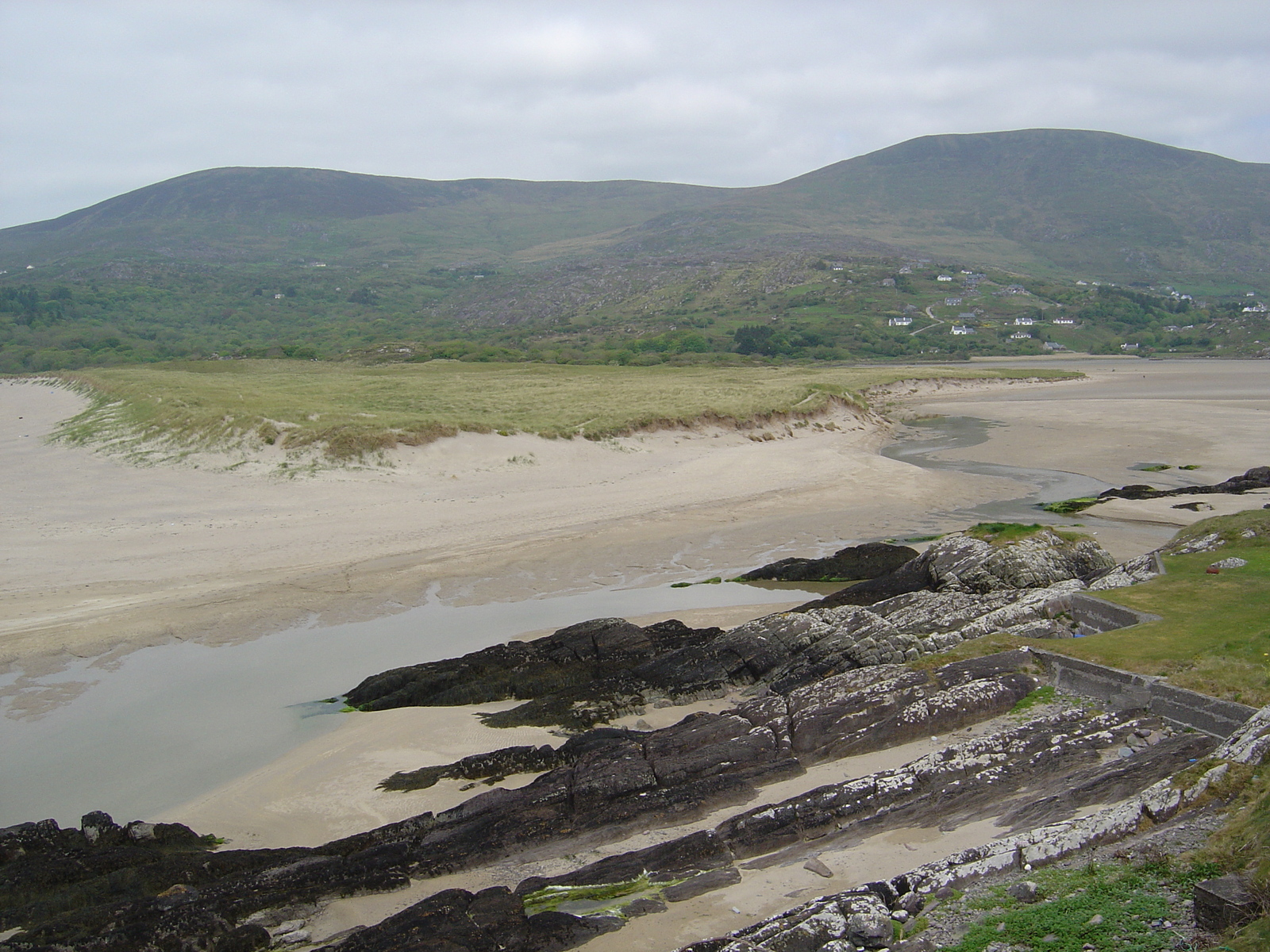 照片 爱尔兰(Ireland) 凯里郡(Kerry) 帕克纳西拉(Parknasilla) 2004-05 61