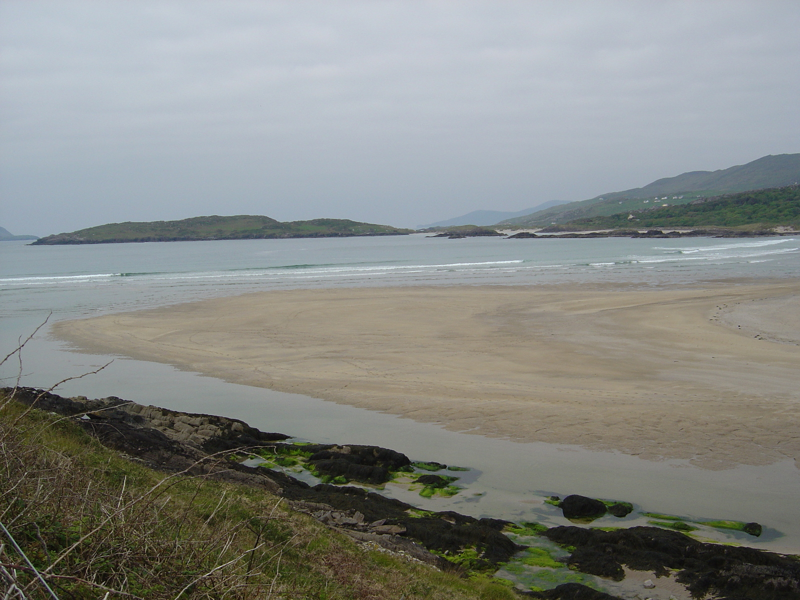 照片 爱尔兰(Ireland) 凯里郡(Kerry) 帕克纳西拉(Parknasilla) 2004-05 53