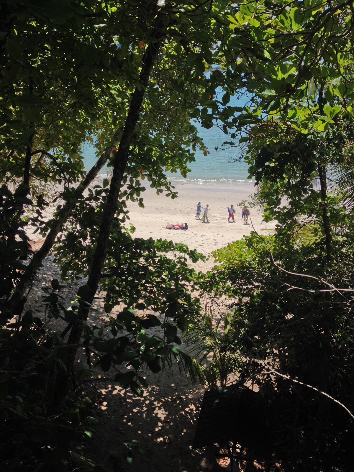 照片 哥斯达黎加(Costa Rica) 曼努埃尔安东尼奥(Manuel Antonio) 2015-03 277