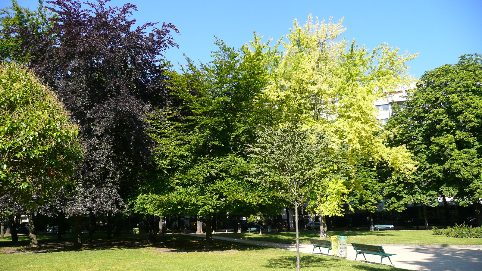 照片 法国(France) 巴黎(Paris) 拉内拉赫花园(Jardins du Ranelagh) 2007-08 44